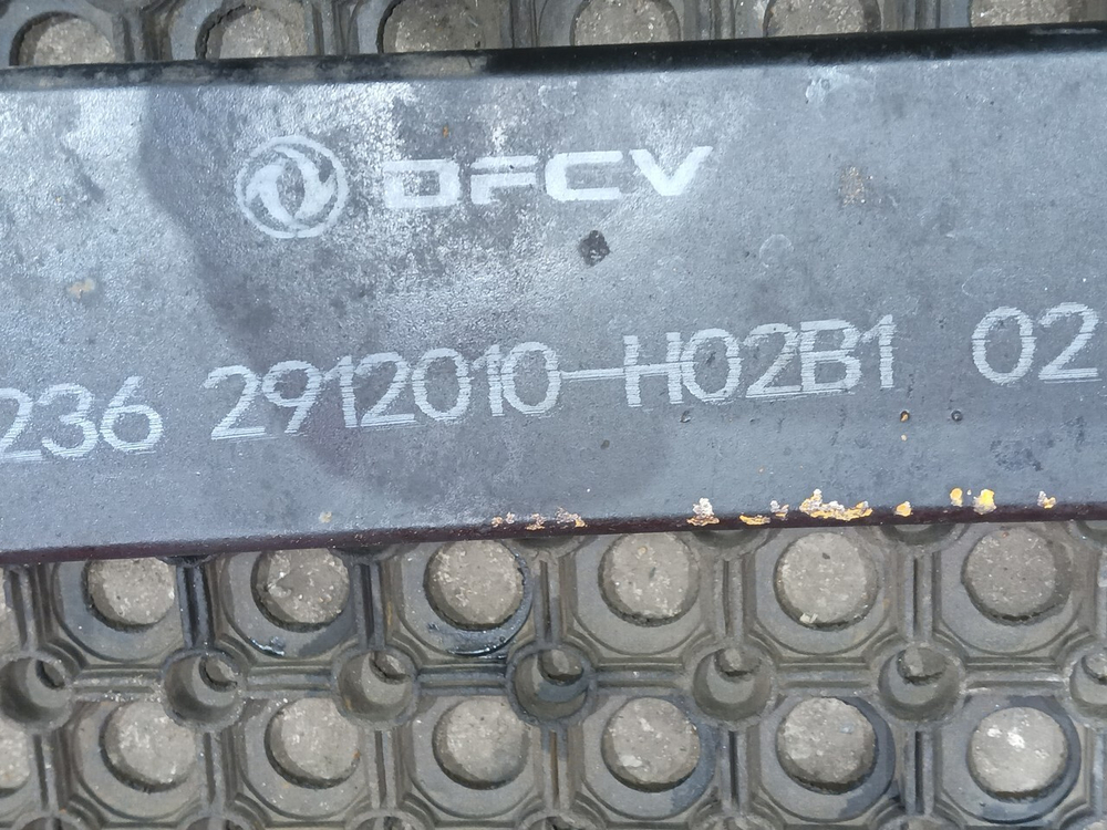 Pеccoрa пеpeдняя 2023г