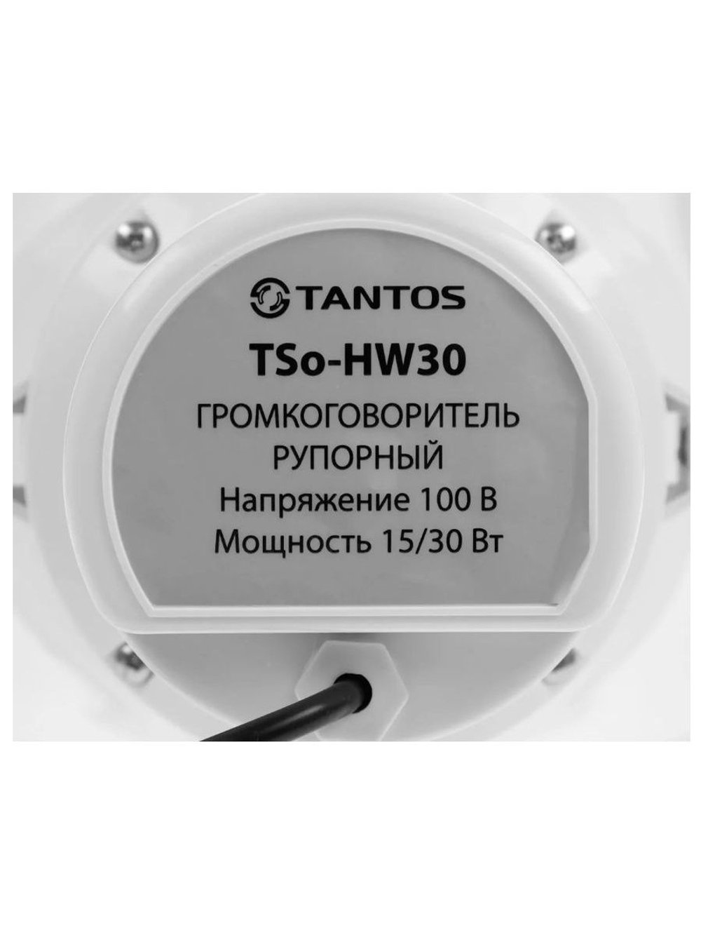 Громкоговоритель TSo-HW30
