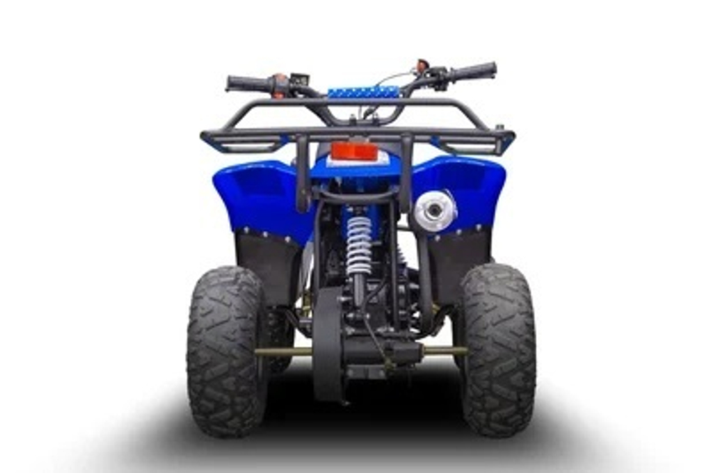 Квадроцикл TIGER 150 Universal RX