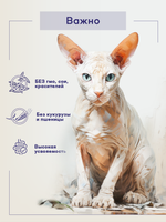 Сухой корм Buddy&Sol CARE HAIR&SKIN с индейкой и лососем для кошек с чувствительной кожей 2 кг