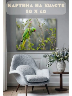 Картина на стену 40 X 50 Попугай