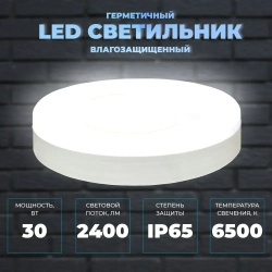 Светильник герметичный настенно-потолочный. Сверхяркий КРУГ 30Вт, со степенью защиты IP65. Размер 220х50. Холодный белый свет 6500К