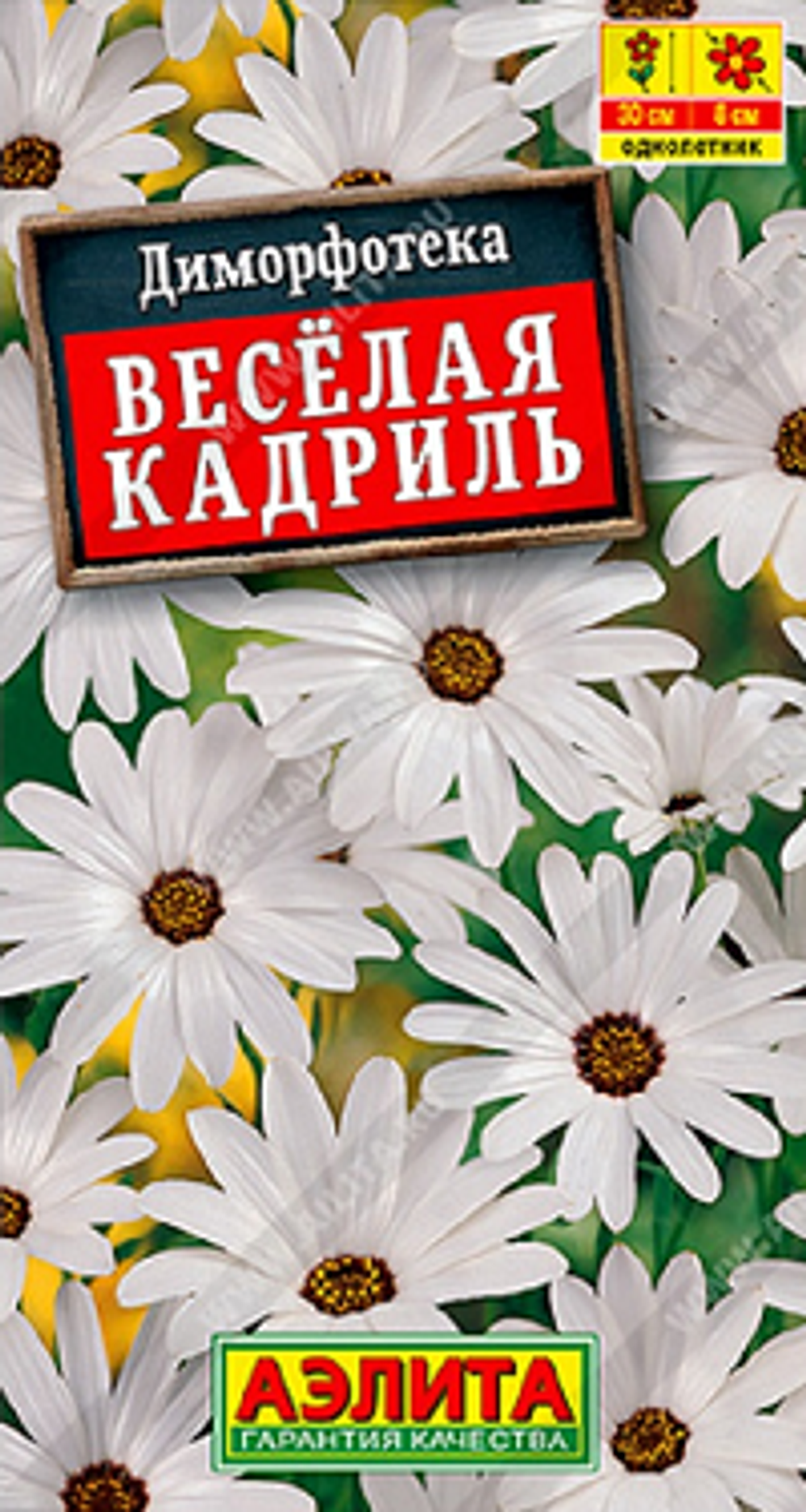 Диморфотека Веселая кадриль