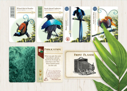 Birdwatcher Game and Deluxe Extras Bundle