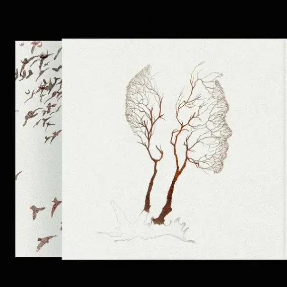 Дельфин – Андрей 2LP