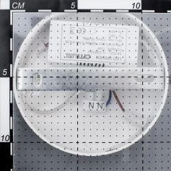 Citilux Паркер CL225B210 LED Подвесной светильник Белый