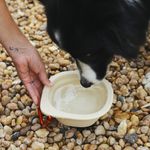 Складная миска GO BOWL BISCOTTI Zee.Dog