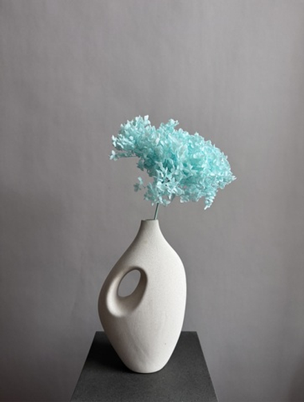 Гортензия стабилизированная тиффани