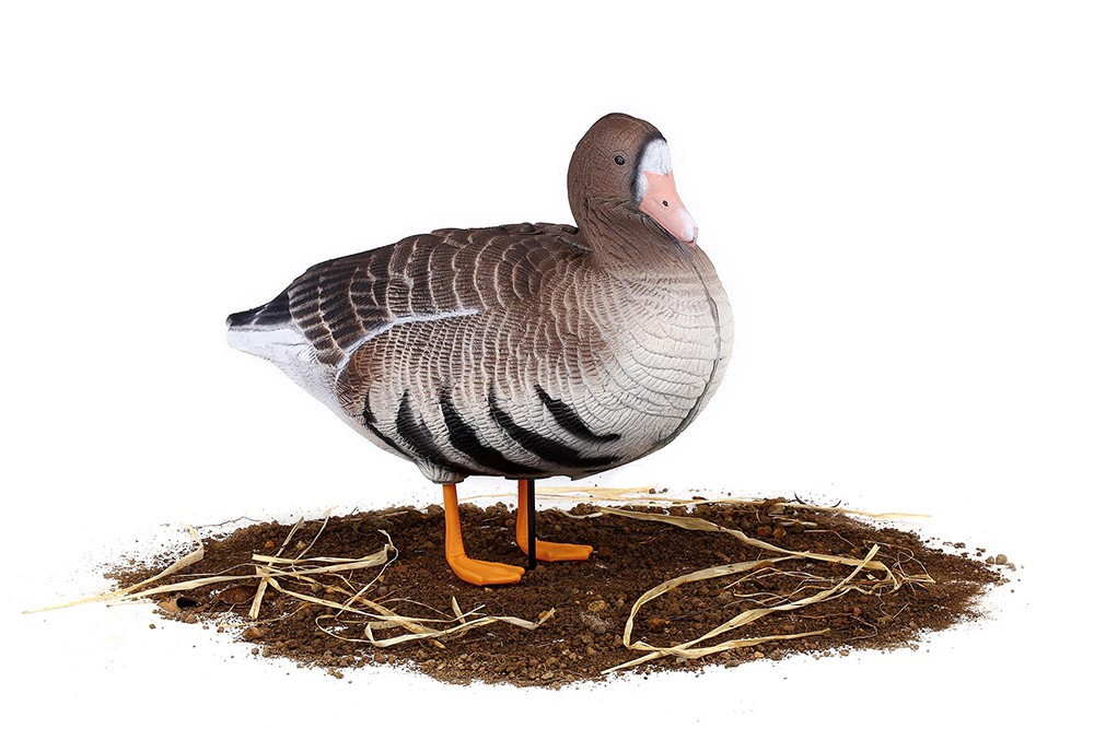 Белолобый гусь S-XPE 3D мод. B622-3D