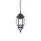 Уличный подвесной светильник Favourite Paris 1806-1P