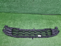 Решетка переднего бампера Citroen DS4 (2010-2015)