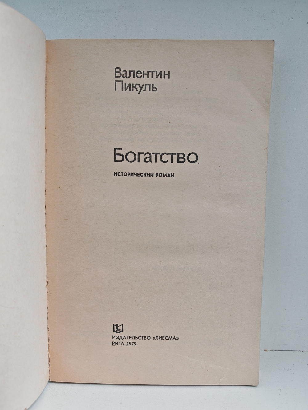 Богатство: Исторический роман