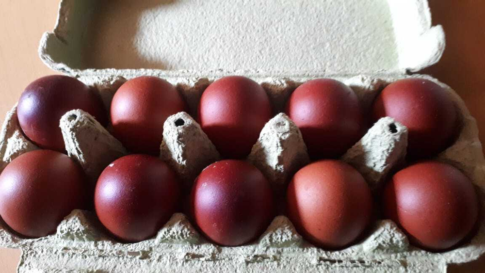 Яйцо куриное Маран мелкое