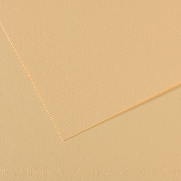 Бумага для пастели Mi-Teintes 160 г/м², 50х65 см, 10 л, №407 Кремовый, Canson, C31032S104