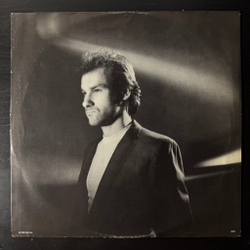 Виниловая пластинка Paul Carrack ‎– Suburban VooDoo LP