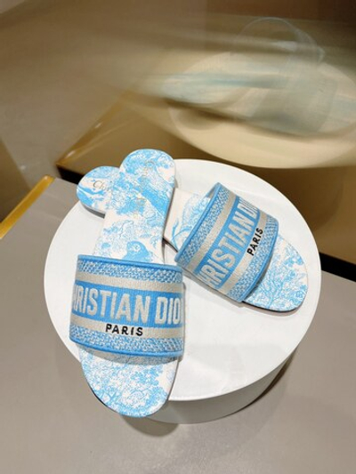 Christian Dior Dway Slide