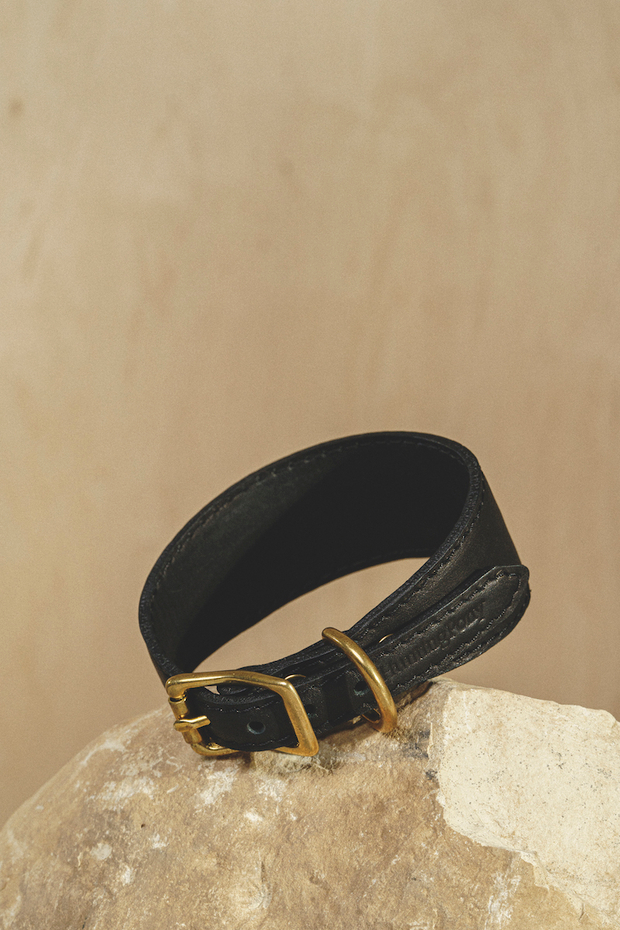 Ошейник "Пони-Селедка" Черный