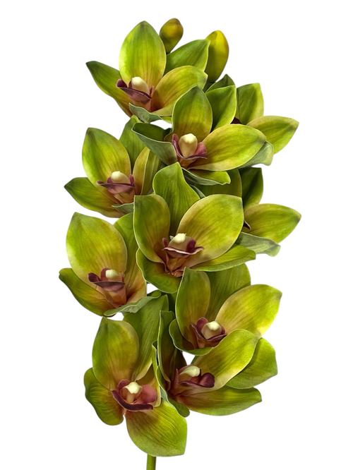 Орхидея Цимбидиум ветка зеленая 73 см