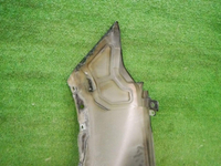 DSCN0294.jpg