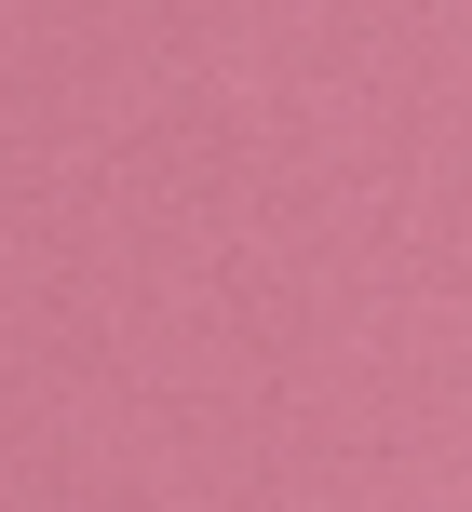 Свитшот с воротником на молнии с начесом (графит)