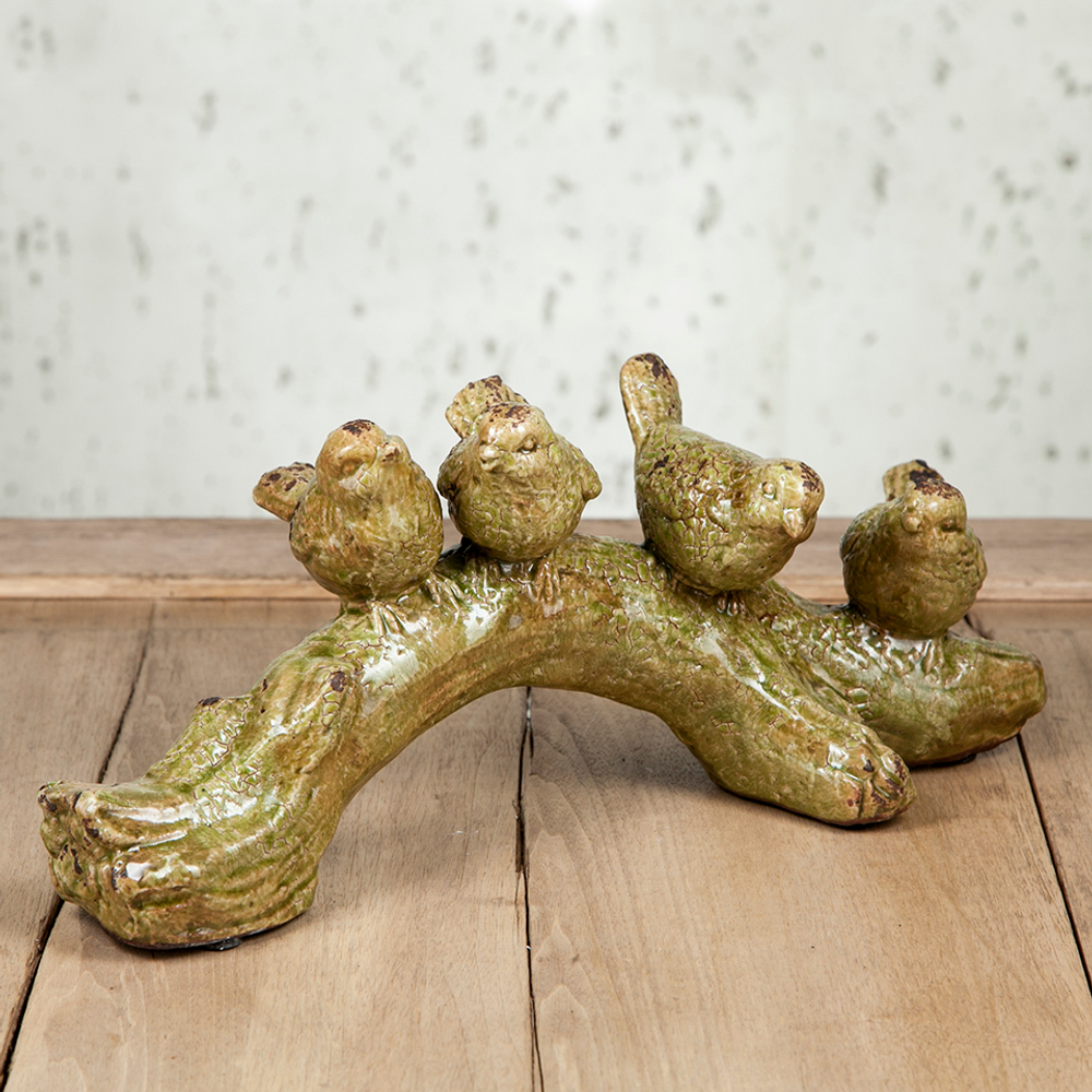 Птицы декоративные Evergreen Нидерланды фото