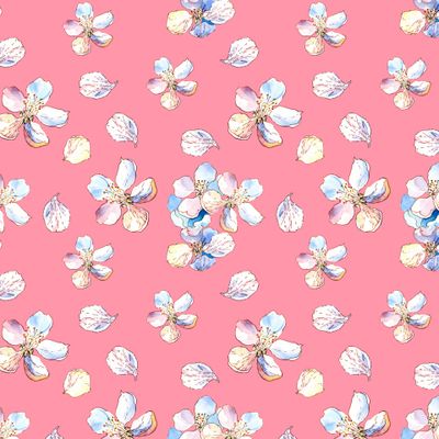 Нежные весенние Цветы яблони. Розовый