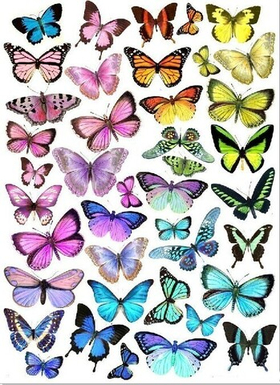 Печать на съедобной бумаге. Бабочки №1