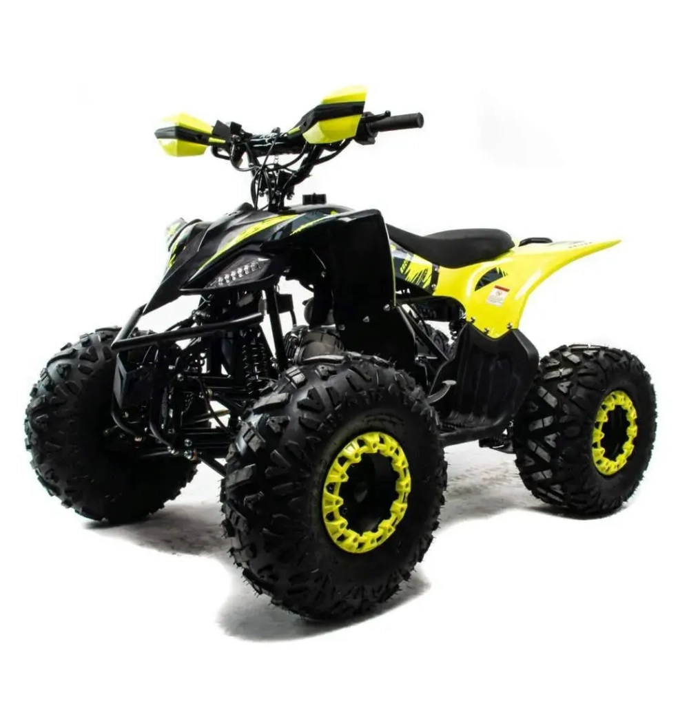 Квадроцикл Motoland 125 RAPTOR