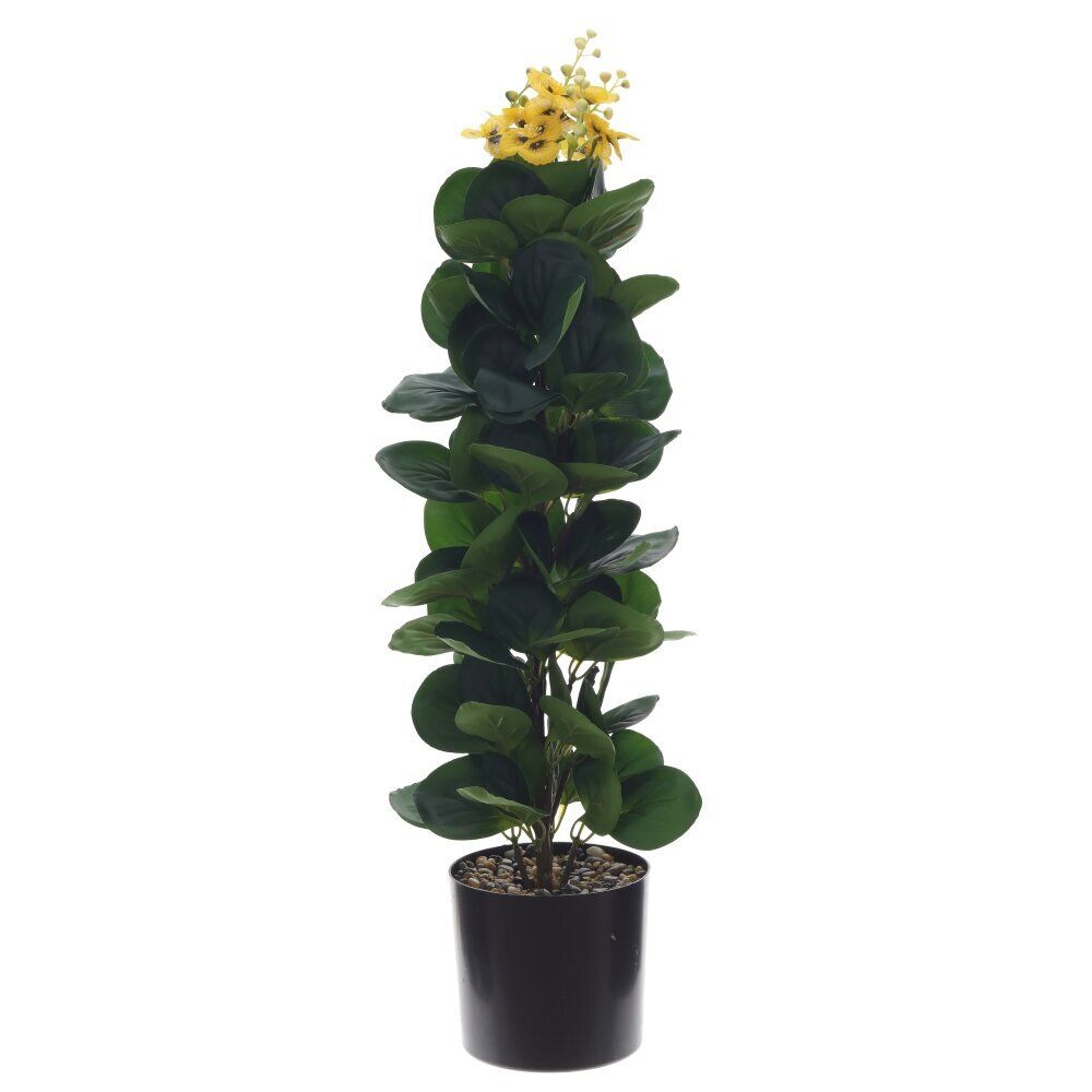 GAEM Цветочная композиция, L15 W15 H62 см