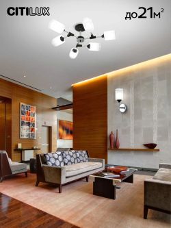 Citilux Эрик CL136165 Люстра потолочная Чёрная