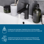 Смеситель Santek Арма для раковины, черный матовый, WH5A02007N001