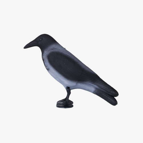 Другие чучела птиц