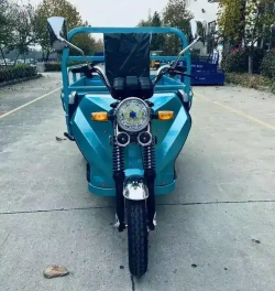 Электротрицикл грузовой Green Camel Тендер 1 (1000W 30км/ч) понижающая