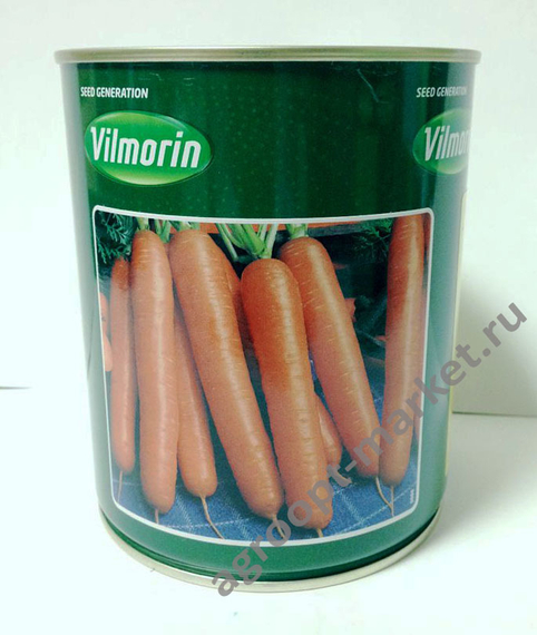 Престо F1 семена моркови нантской (Vilmorin / Вильморин) – фото 3