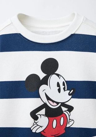 Mickey Mouse | Donald Duck