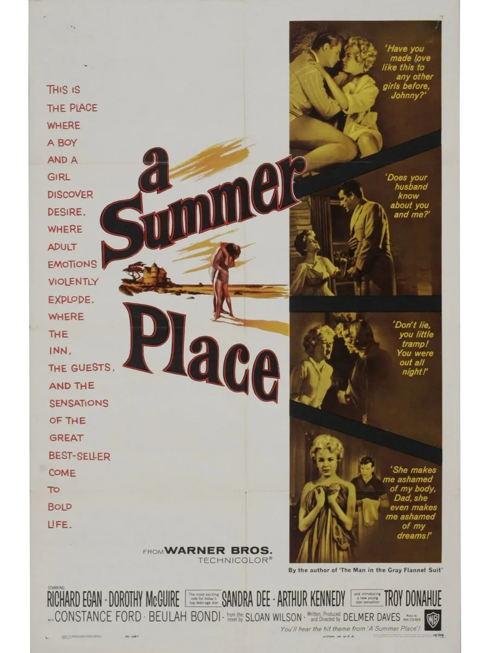 Летнее место (1959) (DVD-R)