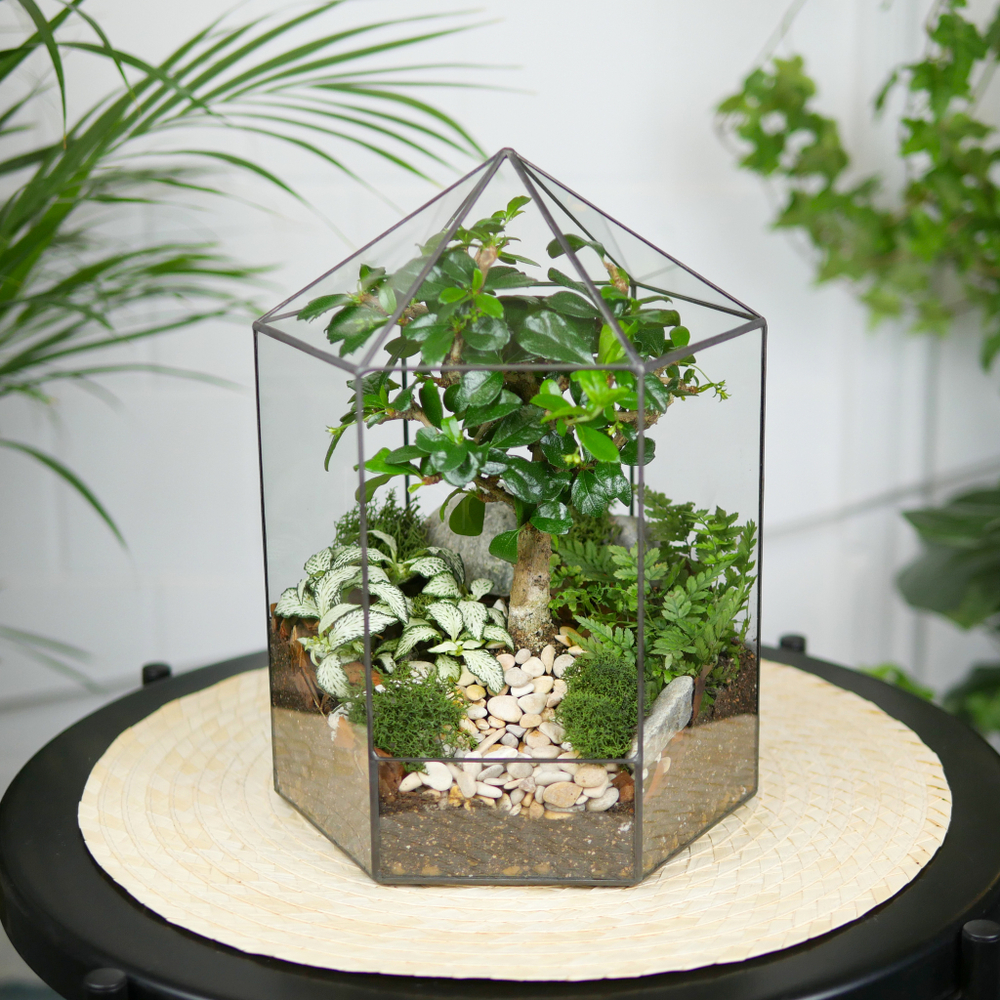 Флорариум бонсай Хижина