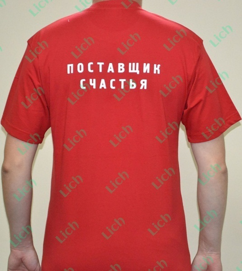 Мужская футболка с логотипом  Поставщик счастья