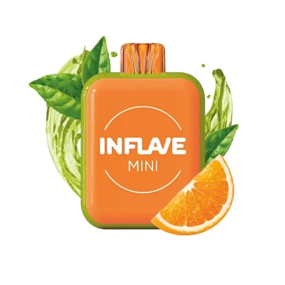 Inflave Mini Зелёный чай апельсин 1000 купить в Москве с доставкой по России