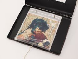 Шкатулка-фотоальбом (24*23*3см) MR-26168