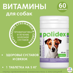 Polidex Gelabon Plus для собак и щенков Профилактика заболеваний опорно-двигательного аппарата, Кормавая добавка Полидекс Гелабон Плюс, 300таб