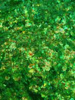 Хлопья - слюда 88708 Зелёный топаз - для литья изделий и творчества