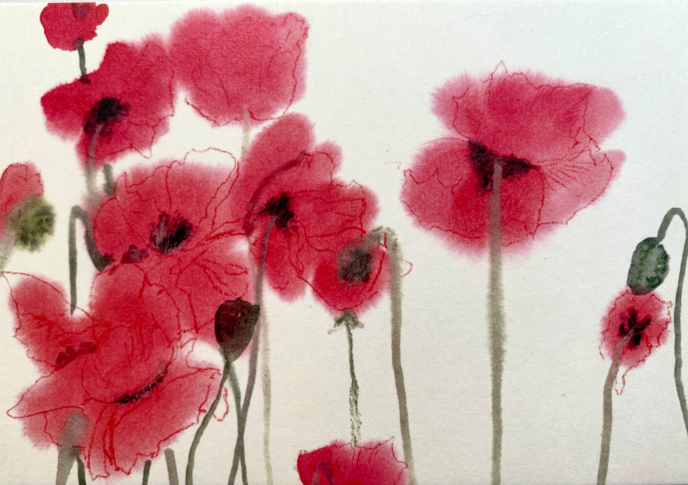 Открытка «Маки» (горизонтальная)