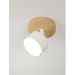 Светильник настенно-потолочный спот Rivoli   7078-701 1хGX53 15 Вт поворотный