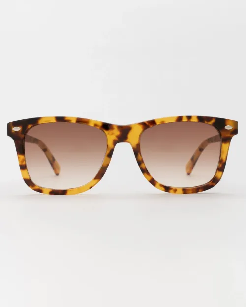 Очки солнцезащитные Terra 7 Tortoise / Gradient brown