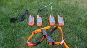 Охота и дрессировка Astro Alpha Delta