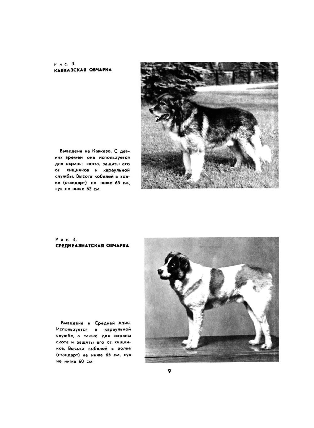 Дрессировка служебных собак | В.Н. Зубко; М.М. Уроженко; В.А. Полунеев