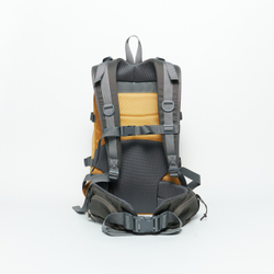 Рюкзак DNMC золотой