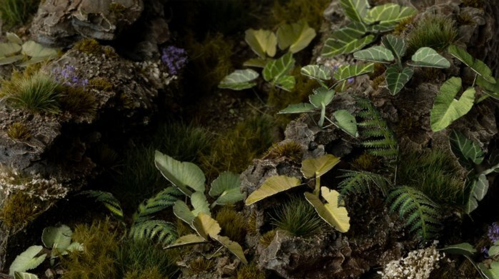 GGLP-EE  Laser Plants - Elephant Ear