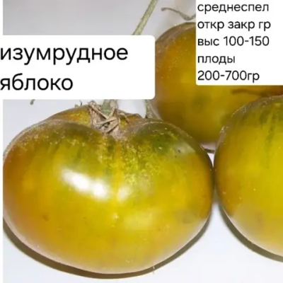 ИЗУМРУДНОЕ ЯБЛОКО